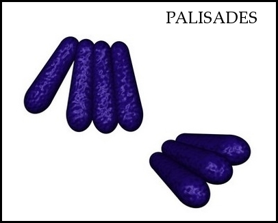 palisades